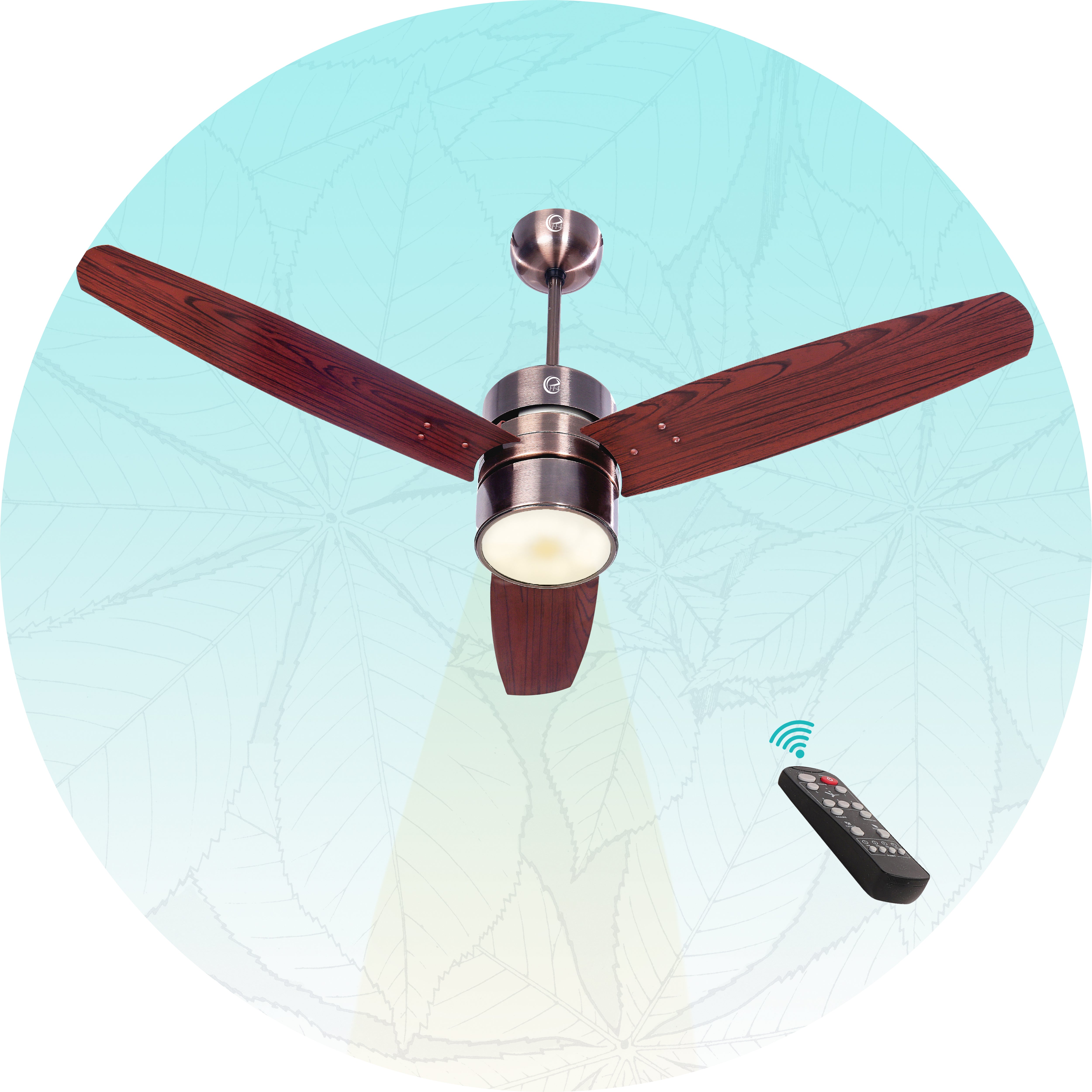 3 Blade Fan with Light